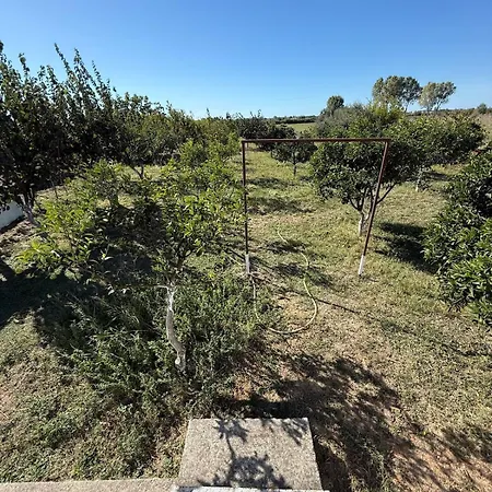 31 Ad Hamallaj Villa